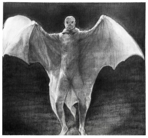 Man Dressed as Bat - Pencil on paper